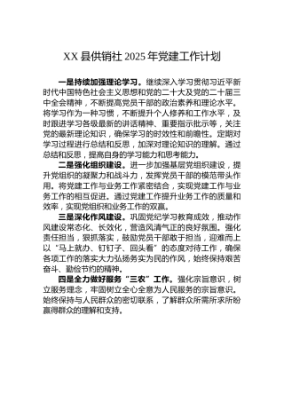 XX县供销社2025年党建工作计划