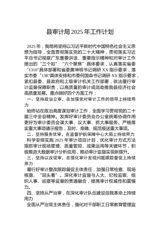 县审计局2025年工作计划