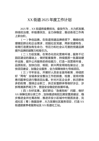 XX街道2025年度工作计划