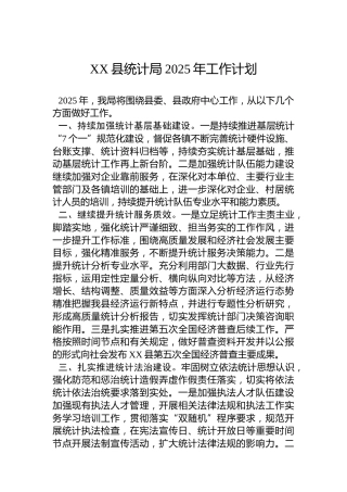 XX县统计局2025年工作计划