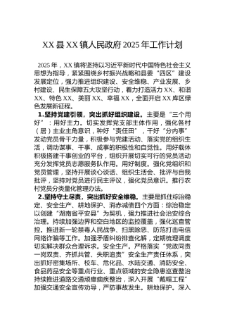 XX县XX镇人民政府2025年工作计划
