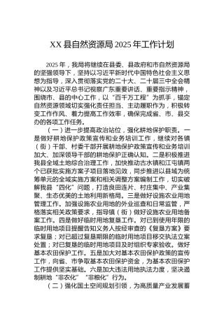 XX县自然资源局2025年工作计划