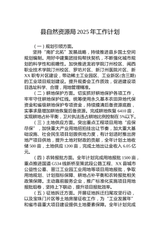 县自然资源局2025年工作计划