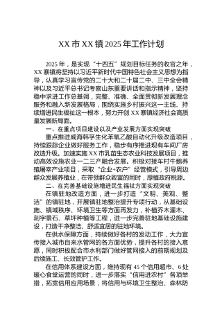 XX市XX镇2025年工作计划