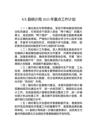 XX县统计局2025年重点工作计划