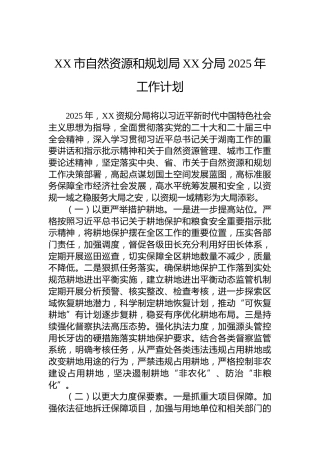 XX市自然资源和规划局XX分局2025年工作计划