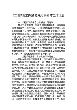 XX高新区自然资源分局2025年工作计划