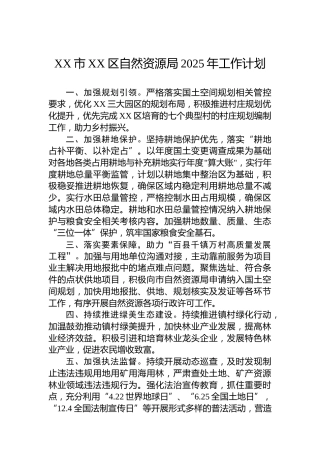 XX市XX区自然资源局2025年工作计划