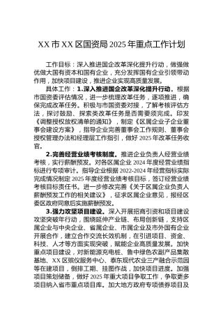 XX市XX区国资局2025年重点工作计划