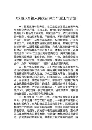 XX区XX镇人民政府2025年度工作计划