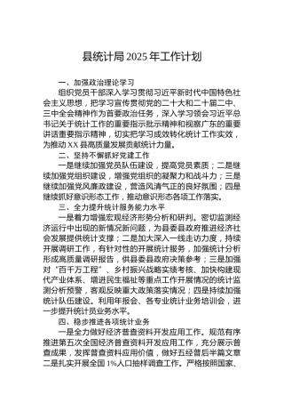 县统计局2025年工作计划
