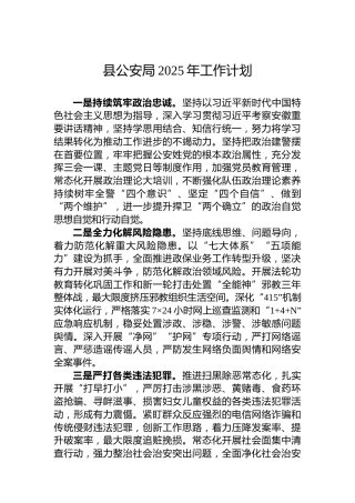 县公安局2025年工作计划