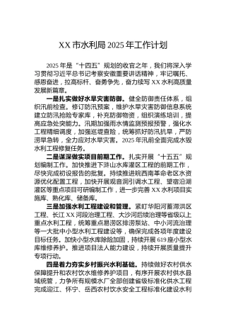 XX市水利局2025年工作计划