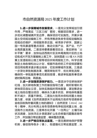 市自然资源局2025年度工作计划