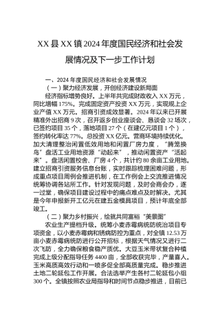 XX县XX镇2024年度国民经济和社会发展情况及下一步工作计划