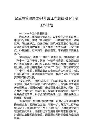 区应急管理局2024年度工作总结和下年度工作计划