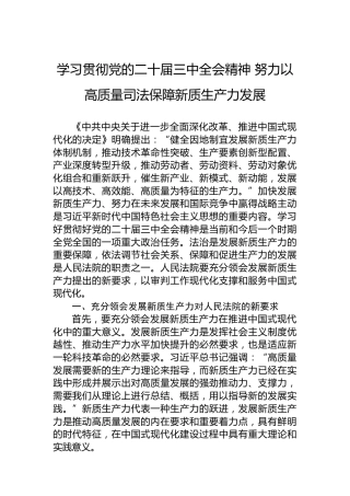 学习贯彻党的二十届三中全会精神 努力以高质量司法保障新质生产力发展