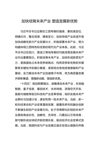 加快培育未来产业塑造发展新优势