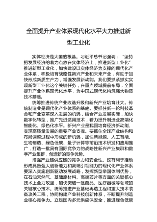全面提升产业体系现代化水平大力推进新型工业化