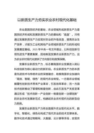 以新质生产力夯实农业农村现代化基础