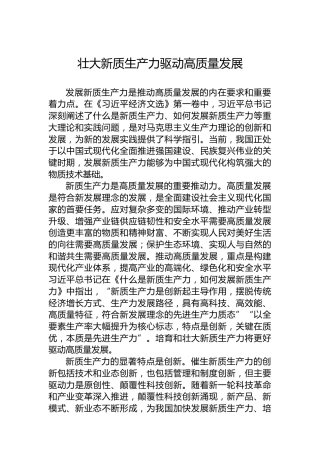 壮大新质生产力驱动高质量发展