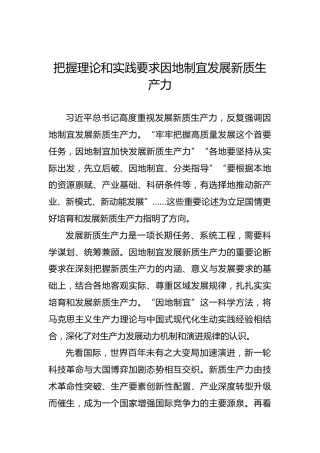 把握理论和实践要求因地制宜发展新质生产力