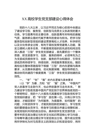 XX高校学生党支部建设心得体会