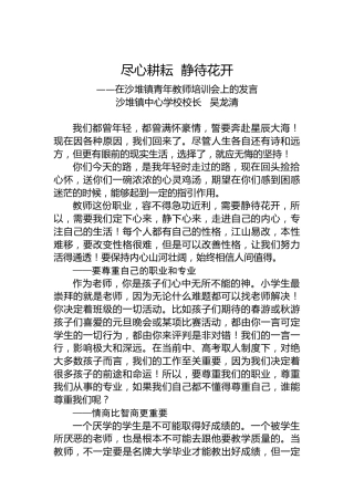 沙堆镇中心学校校长吴龙清：在沙堆镇青年教师培训会上的发言