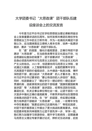 大学团委书记“大思政课”团干部队伍建设座谈会上的交流发言