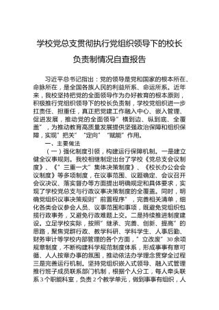 学校党总支贯彻执行党组织领导下的校长负责制情况自查报告