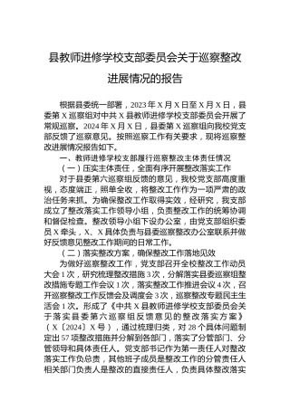 县教师进修学校支部委员会关于巡察整改进展情况的报告