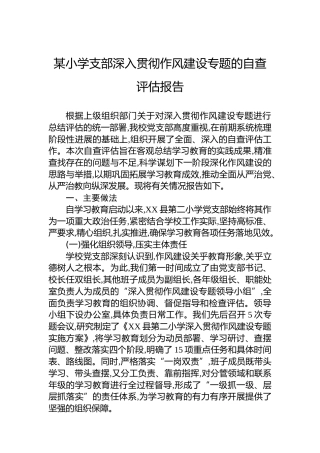 某小学支部深入贯彻作风建设专题的自查评估报告