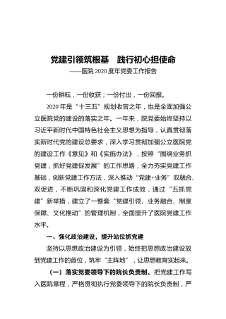 医院2020度年党委工作报告