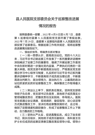 县人民医院支部委员会关于巡察整改进展情况的报告