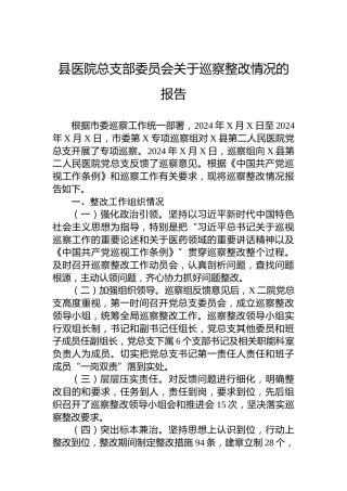 县医院总支部委员会关于巡察整改情况的报告