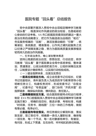 医院专题“回头看”总结报告