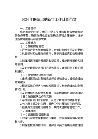2024年医院出纳新年工作计划范文