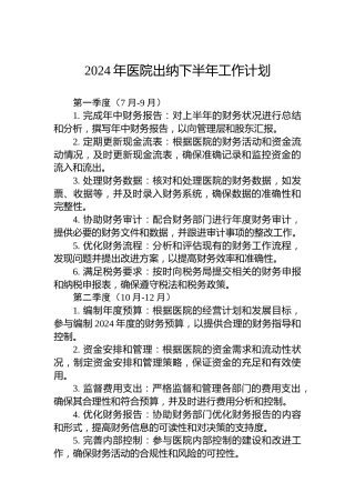 2024年医院出纳下半年工作计划