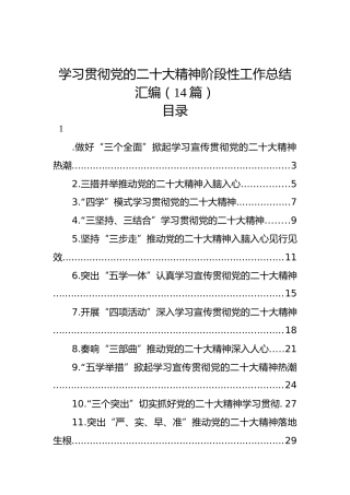 学习贯彻党的二十大精神阶段性工作总结汇编（14篇）