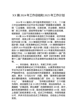 XX镇2024年工作总结和2025年工作计划（20241118）