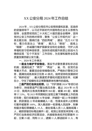 XX公安分局2024年工作总结（20241118)