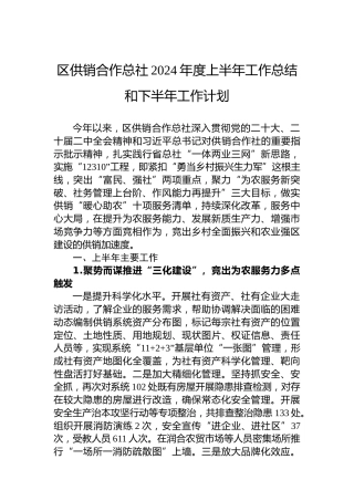 区供销合作总社2024年度上半年工作总结和下半年工作计划（20240530）
