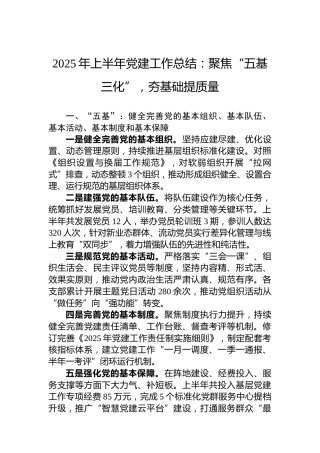 2025年上半年党建工作总结：聚焦“五基三化”，夯基础提质量