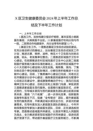 X区卫生健康委员会2024年上半年工作总结及下半年工作计划