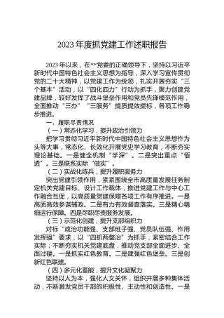 2023年度抓党建工作述职报告