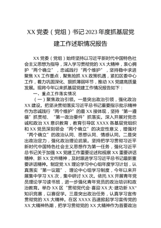 XX党委（党组）书记2023年度抓基层党建工作述职情况报告
