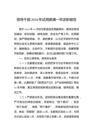 领导干部2024年试用期满一年述职报告