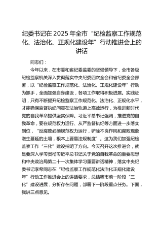 纪委书记在2025年全市“纪检监察工作规范化、法治化、正规化建设年”行动推进会上的讲话（三化）