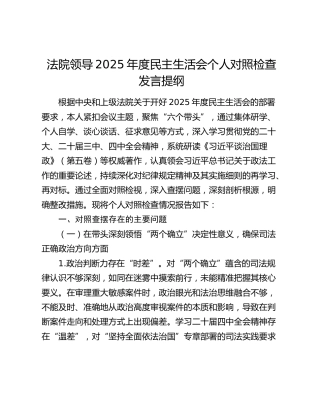 法院领导2025年度民主生活会个人对照检查发言提纲