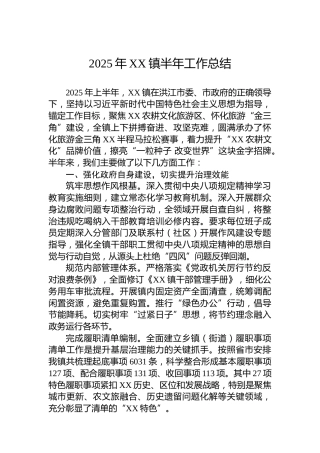 2025年XX镇半年工作总结